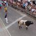 foto de Toro de la Nava